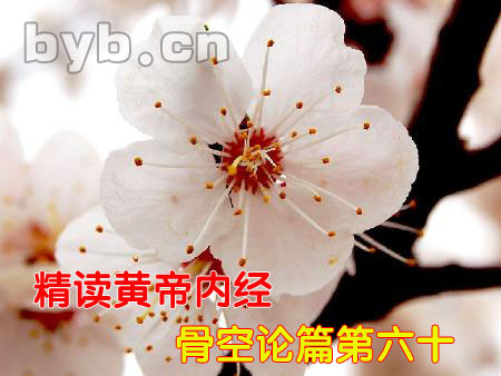 byb.cn 骨空論