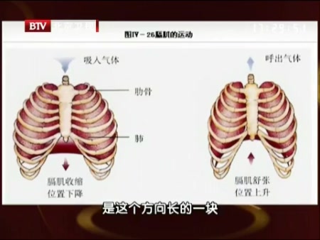 byb.cn byb.cn