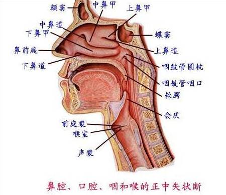 byb.cn byb.cn