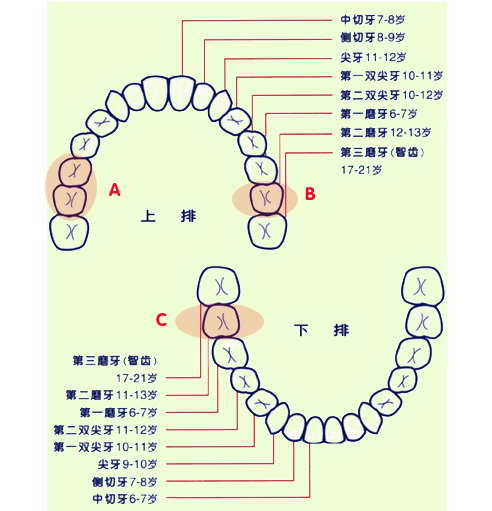 byb.cn byb.cn