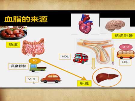 byb.cn byb.cn