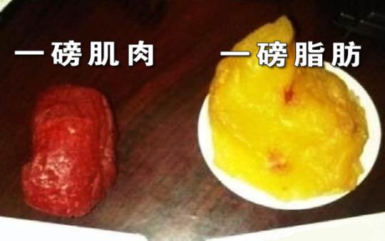 byb.cn byb.cn