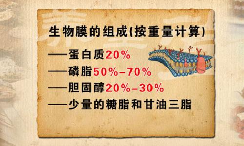 byb.cn byb.cn