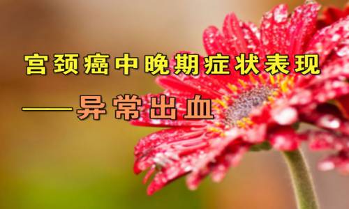 byb.cn byb.cn