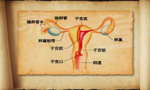 byb.cn byb.cn