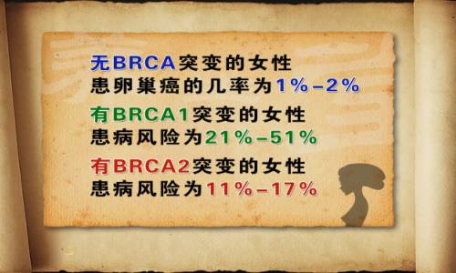 byb.cn byb.cn