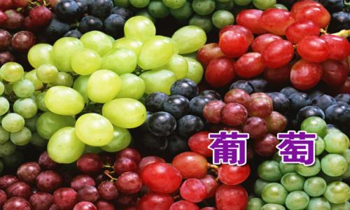 byb.cn byb.cn