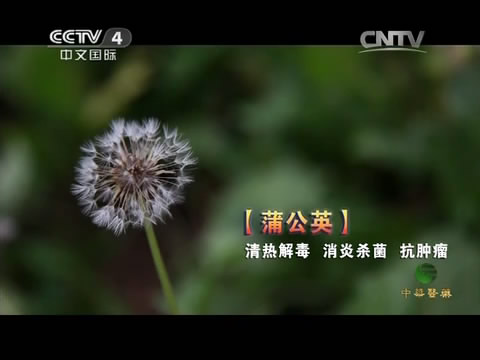 byb.cn byb.cn