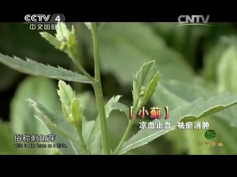 byb.cn byb.cn