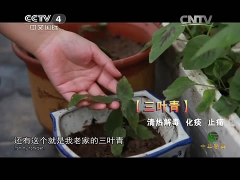 byb.cn byb.cn