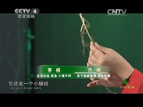 byb.cn byb.cn