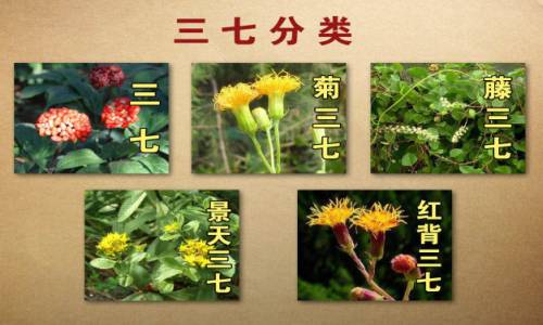 byb.cn byb.cn