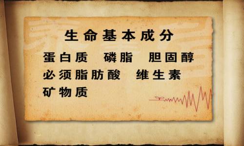 byb.cn byb.cn