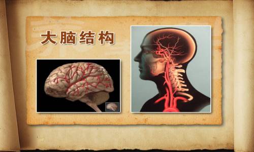 byb.cn byb.cn
